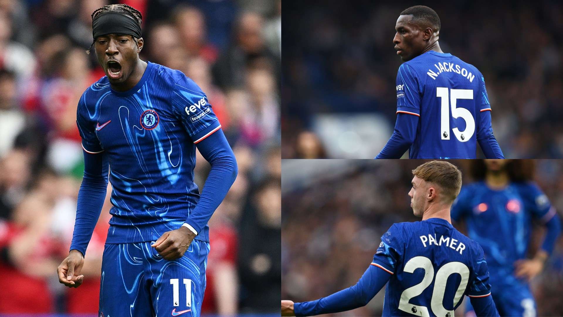 体阵容增添 体阵容增添